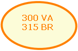 300 VA
315 BR